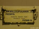 Wielkopolanin